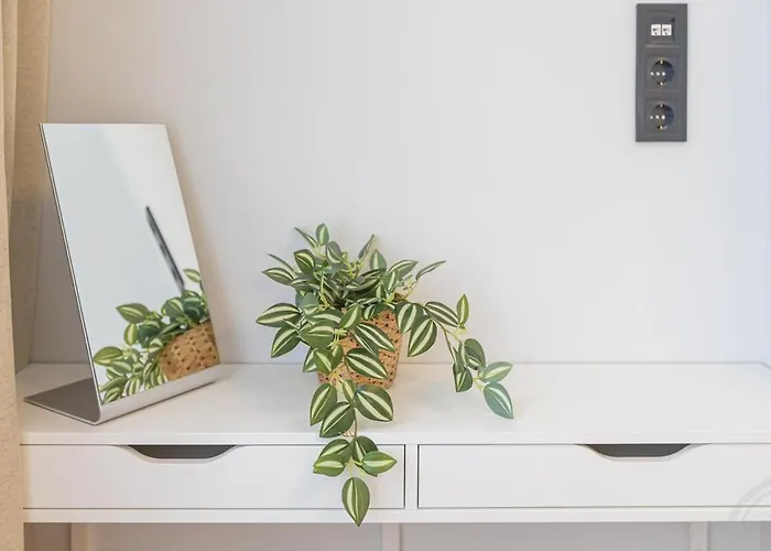 Brand New 1br In Center Dzīvoklis *