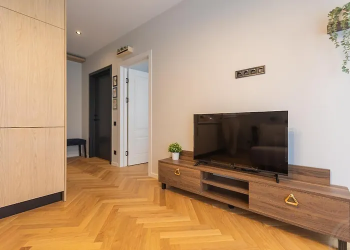 Dzīvoklis Brand New 1br In Center *