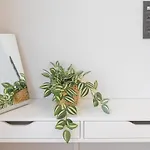 Brand New 1br In Center Apartmán *