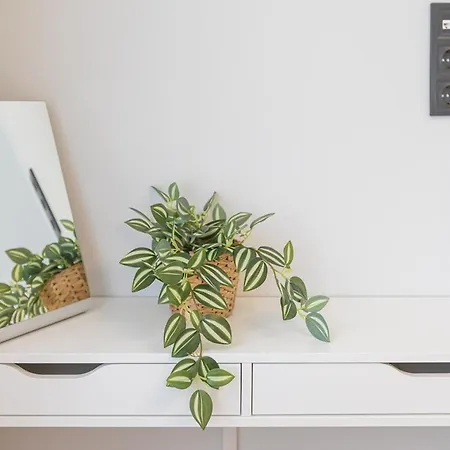 Brand New 1br In Center Lägenhet *